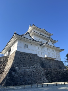 ���c����